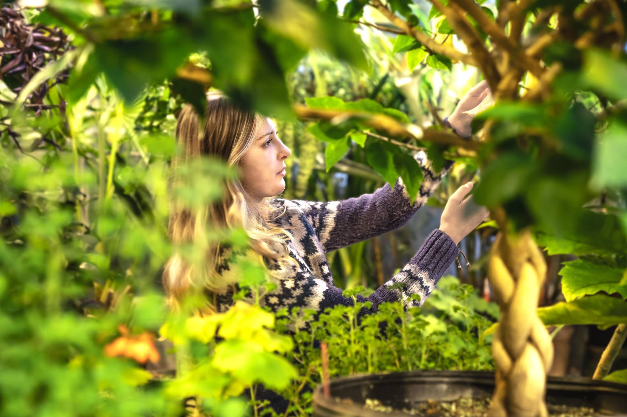 Cate Chappell in the greenhouse of Kindschi Hall of Science.
